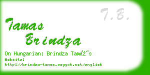 tamas brindza business card